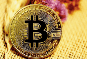 The Most Popular Cryptocurrencies in 2026